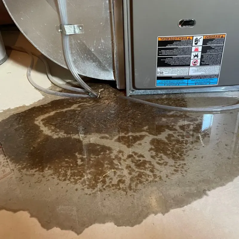 Pipe Burst and Leak Restoration in Scott County, AR
